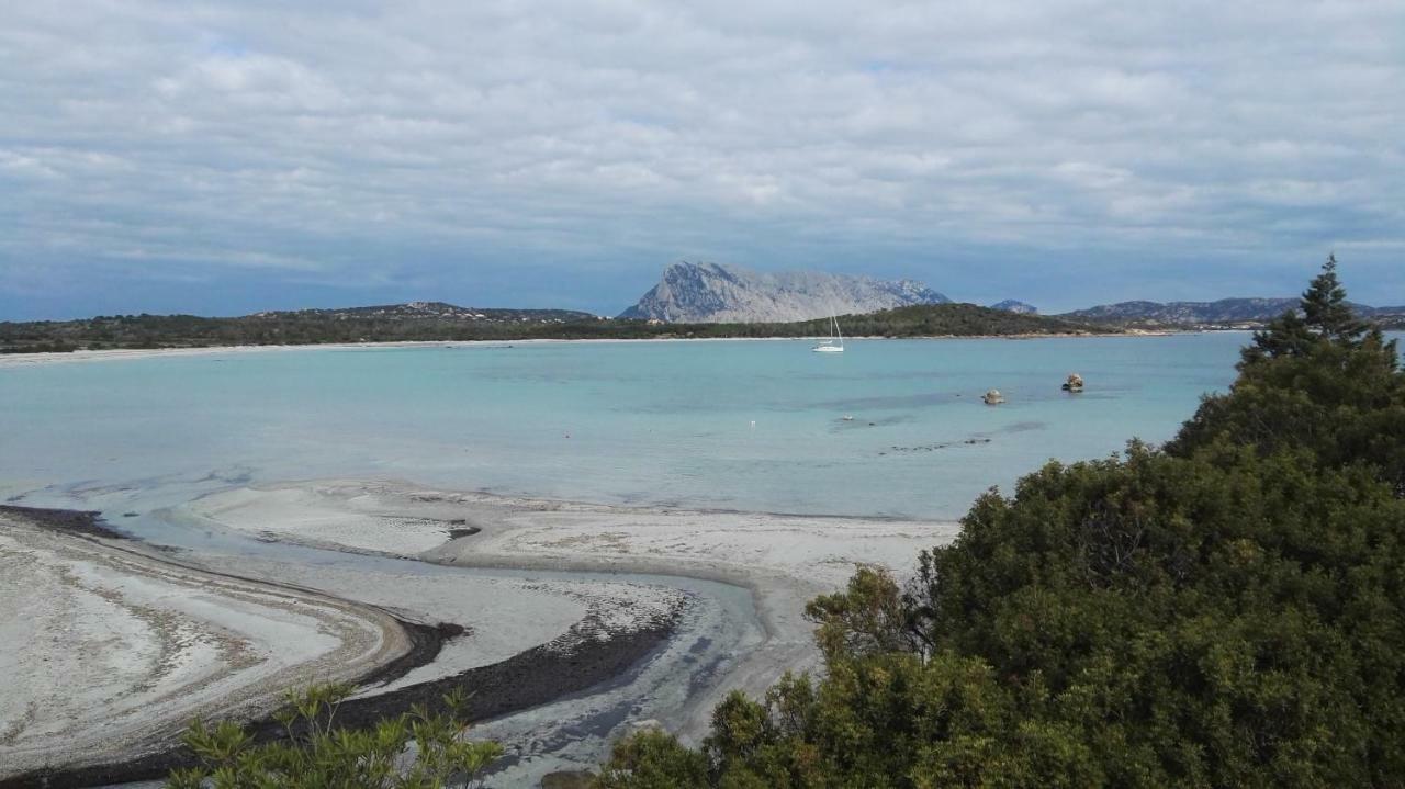 Appartamenti Sardegna Porto San Paolo  Dış mekan fotoğraf