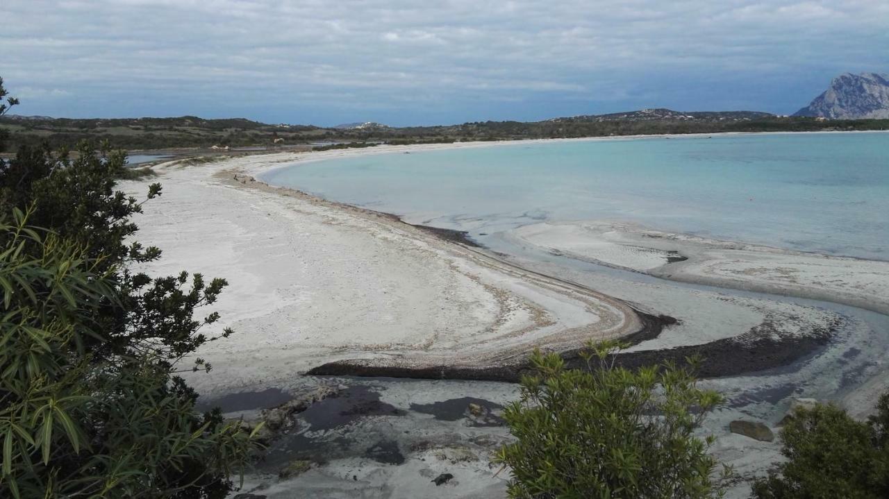 Appartamenti Sardegna Porto San Paolo  Dış mekan fotoğraf