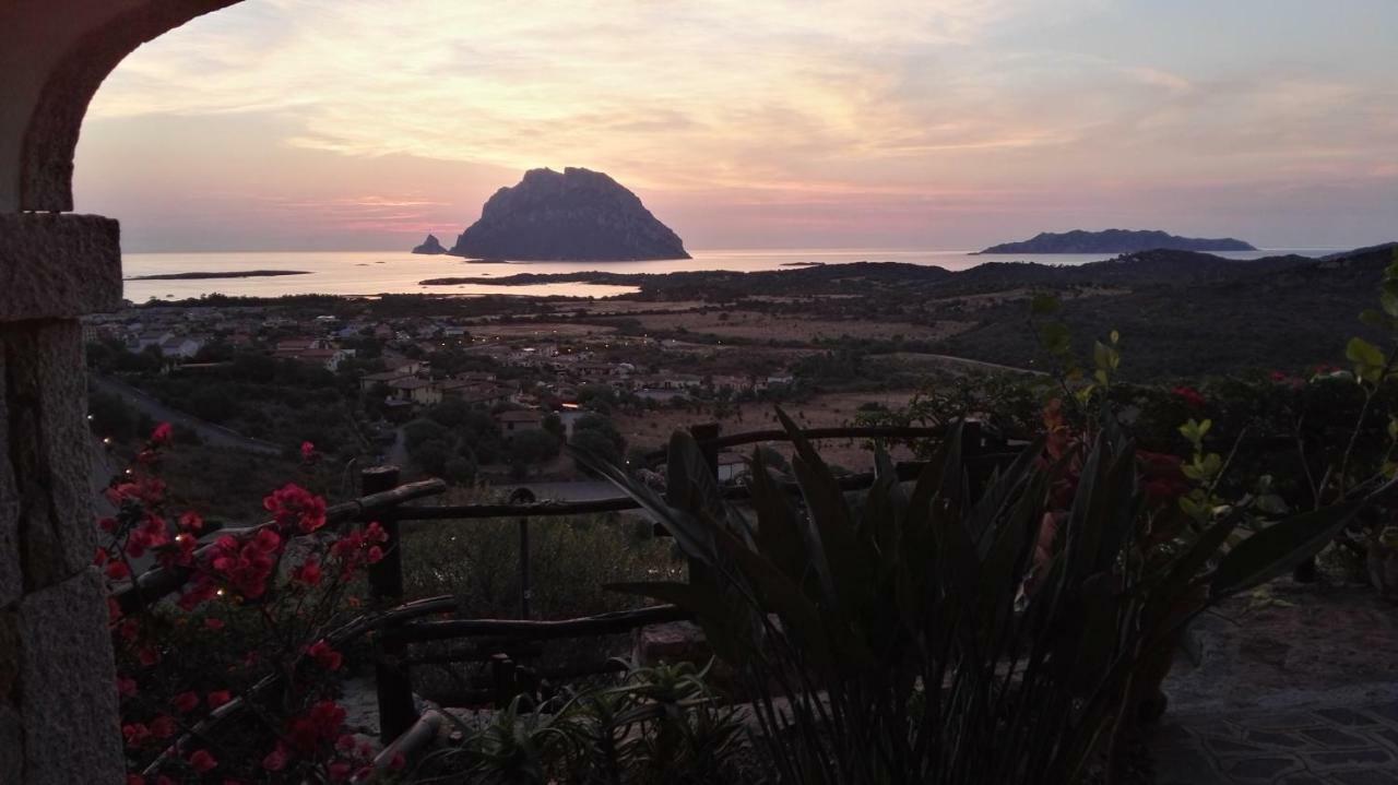 Appartamenti Sardegna Porto San Paolo  Dış mekan fotoğraf